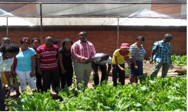 CEFE gallery photo 17